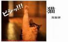 《猫》郑振铎生字拼音